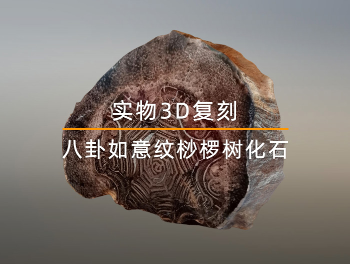 八卦如意紋桫欏樹化石實物3D建模復刻